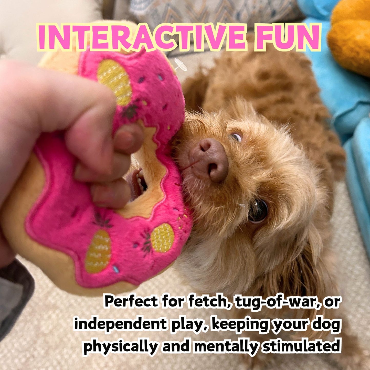 Donut Squeaker Dog Toy | Soft, Durable Plush for Interactive Play
