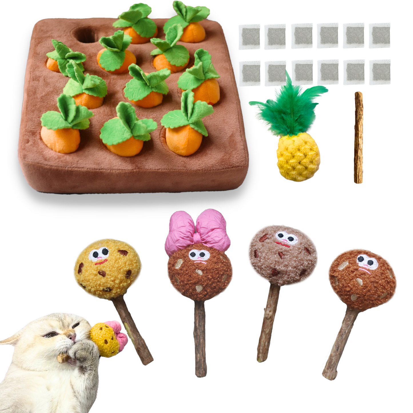 Carrot Garden Toy Set | 12 Refillable Catnip Carrots with Feather Pineapple & Catnip Tea Bags