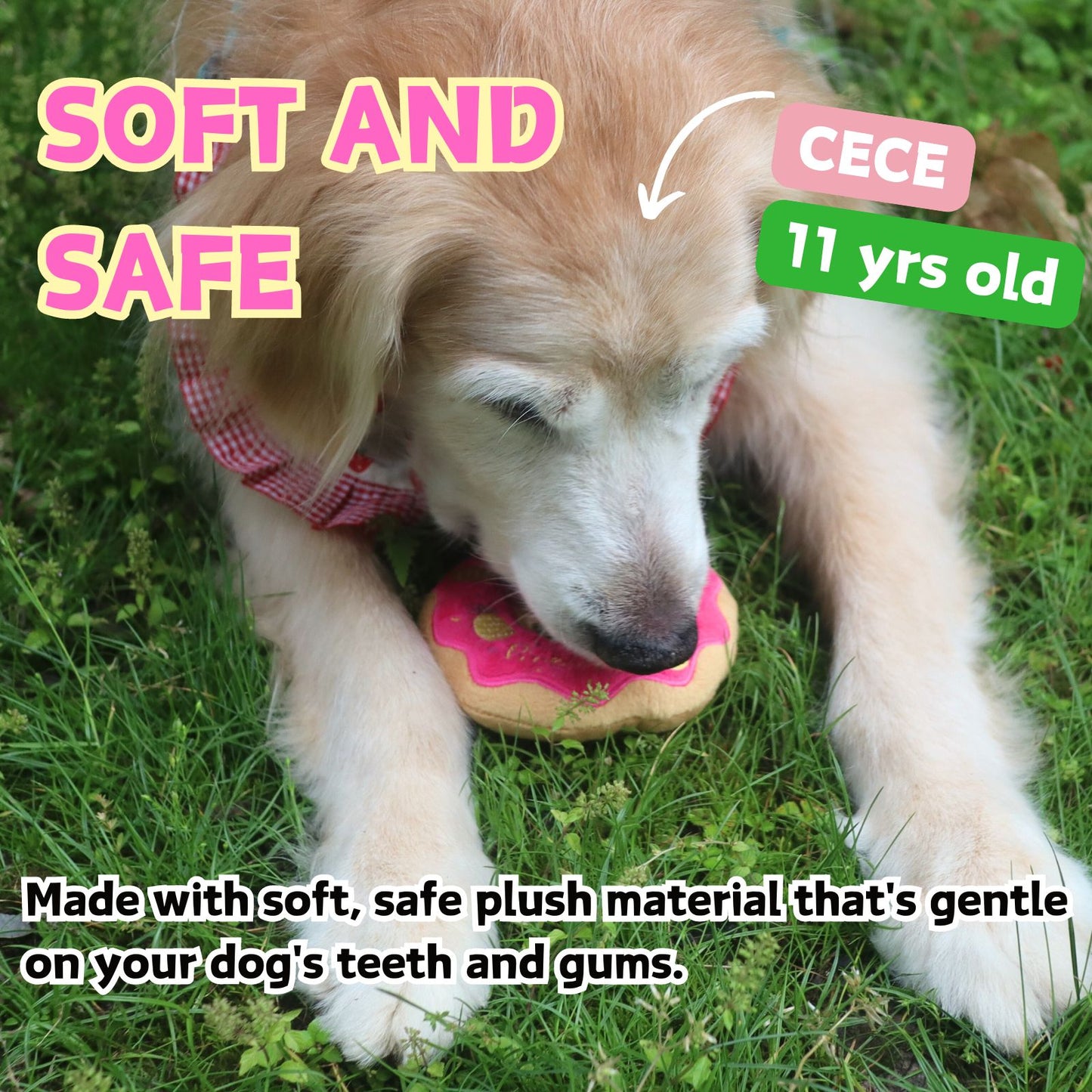 Donut Squeaker Dog Toy | Soft, Durable Plush for Interactive Play