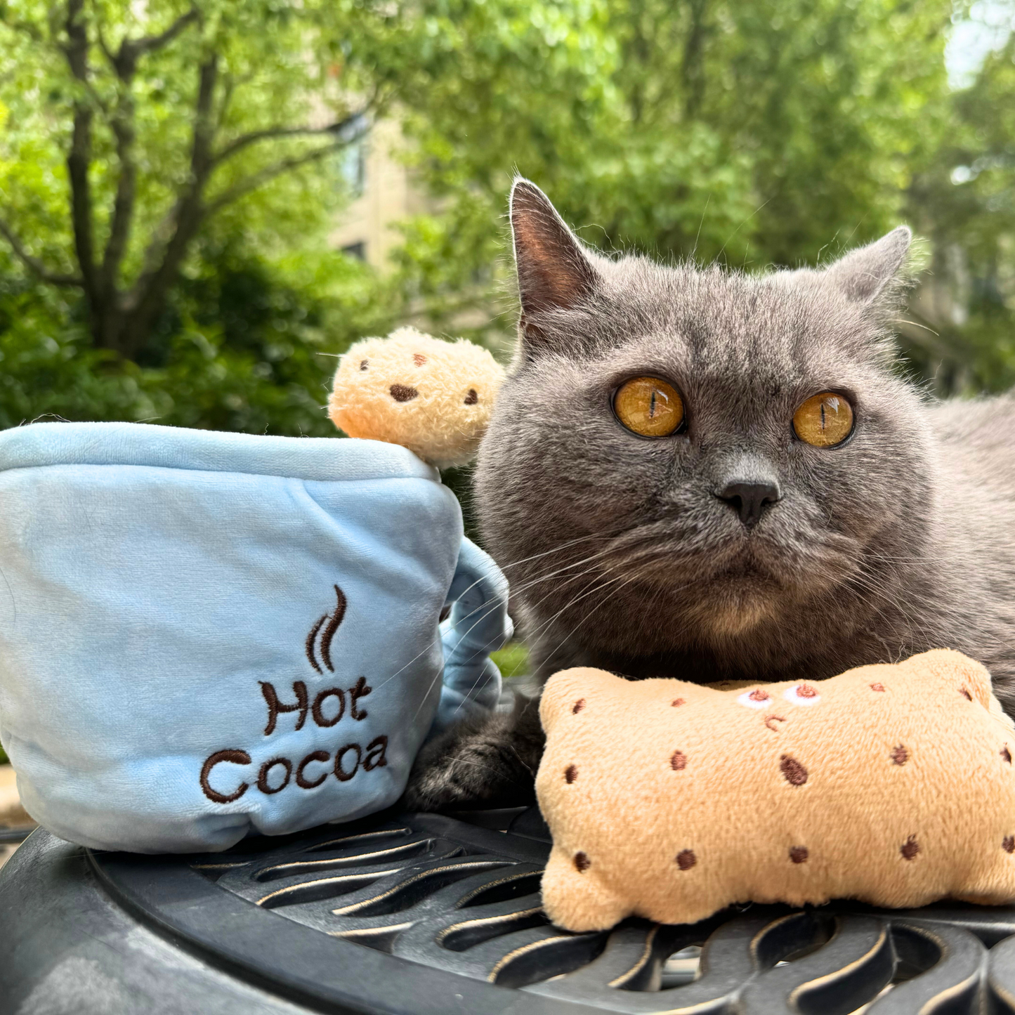 6 PCS Catnip Toys for Cats | Hot Cocoa Treat Puzzle with Silvervine & Crinkle Sounds