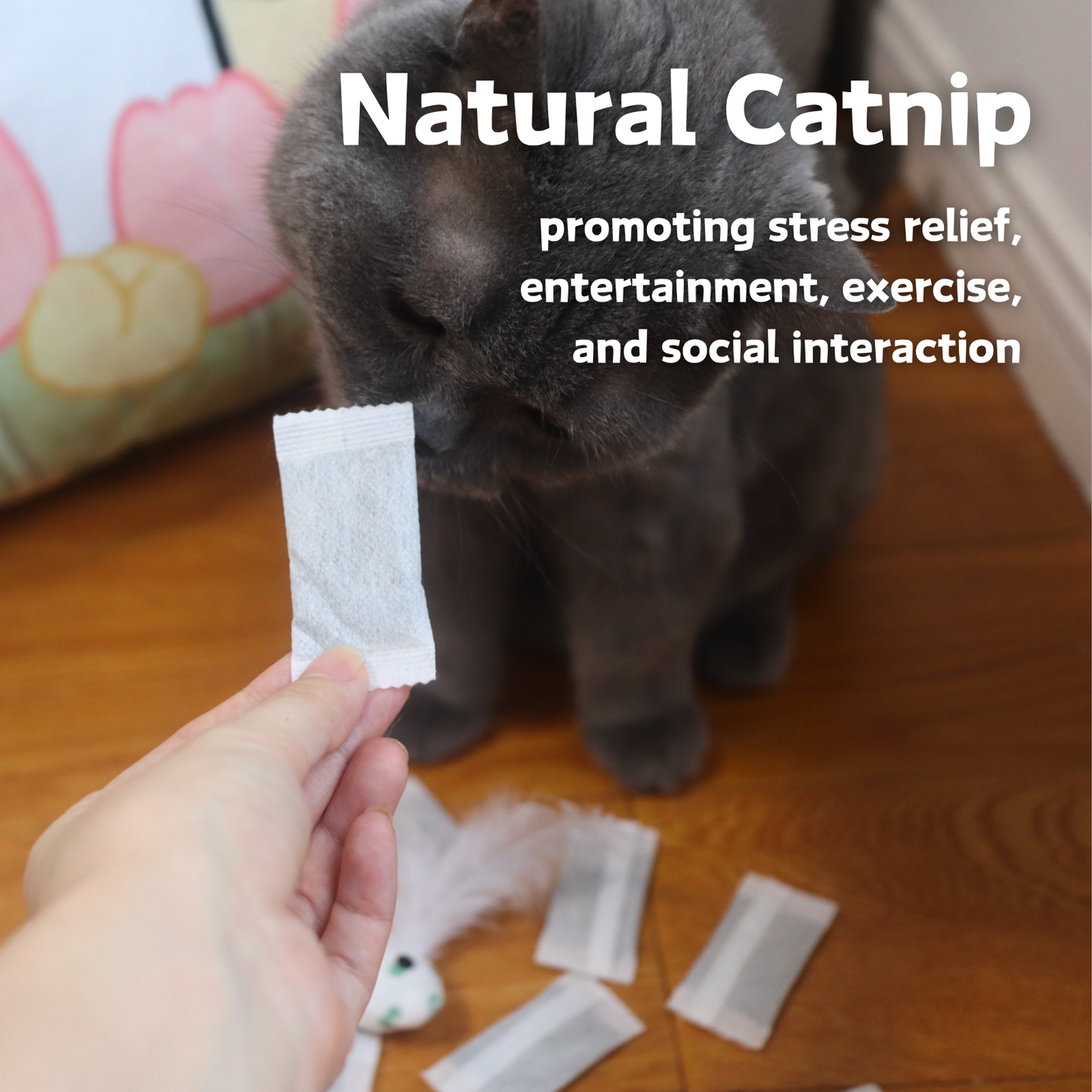 Natural Catnip Tea Bags | Catnip Pouches with Bonus Whale Feather Toy