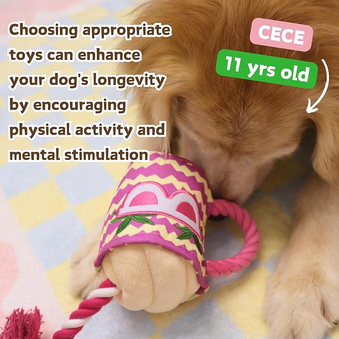 2-in-1 Plush Dog Toy with Rope - Interactive Chew Toy for Puppies, Small, Medium & Large Dogs | Cute Stuffed Rope Cup Design