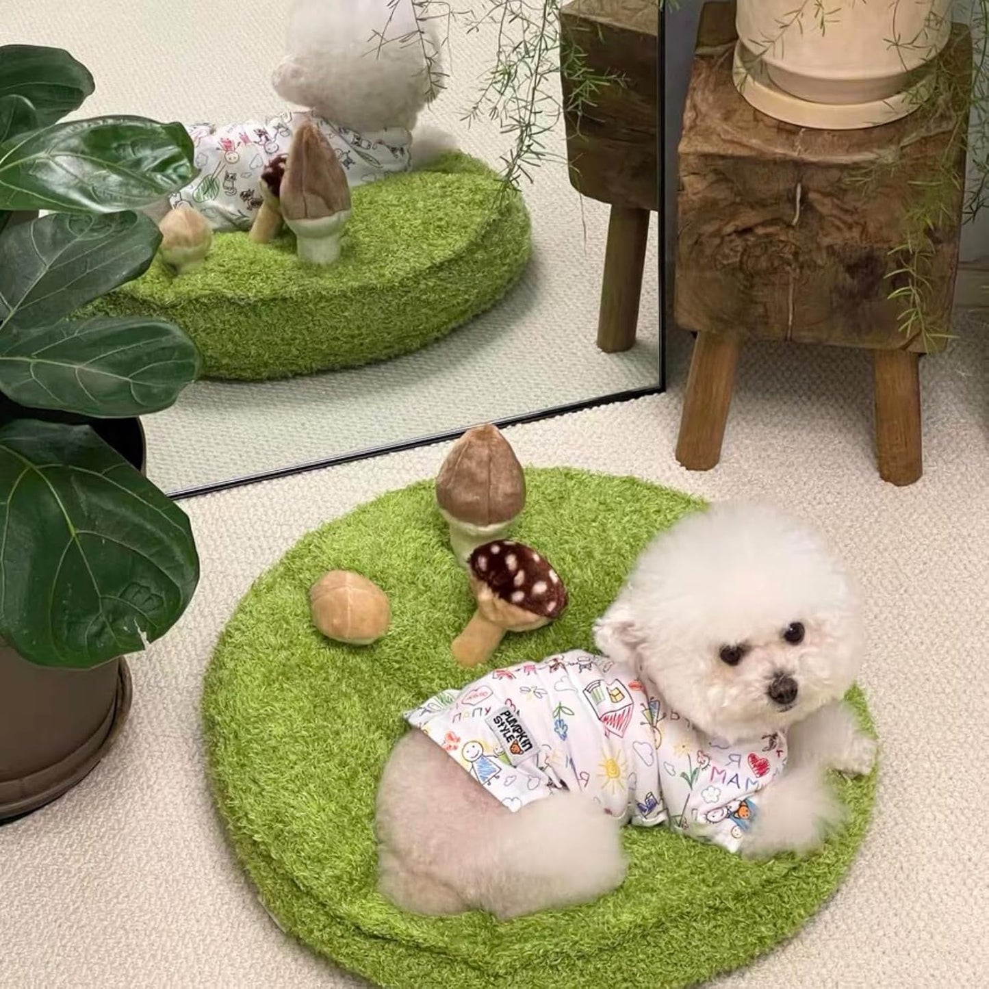 Mushroom Mat Pet Toy & Bed | Dog Snuffle Mat with 3 Crinkle Mushrooms for Treat Hiding | Soft Cushion for Cats, Small Dogs, & Owners | Washable Interactive Play & Cozy Rest