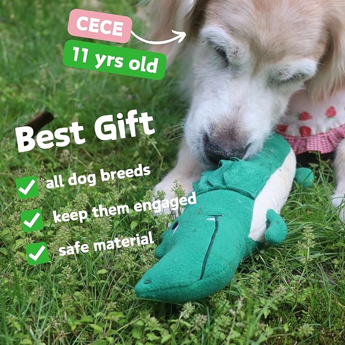 Adorable Alligator Dog Toy Set | Plush & Freezable Treat Dispenser for Interactive Play