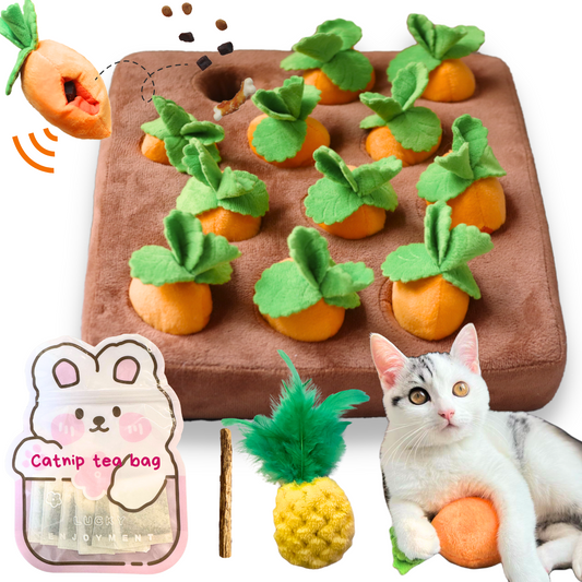 Carrot Garden Toy Set | 12 Refillable Catnip Carrots with Feather Pineapple & Catnip Tea Bags