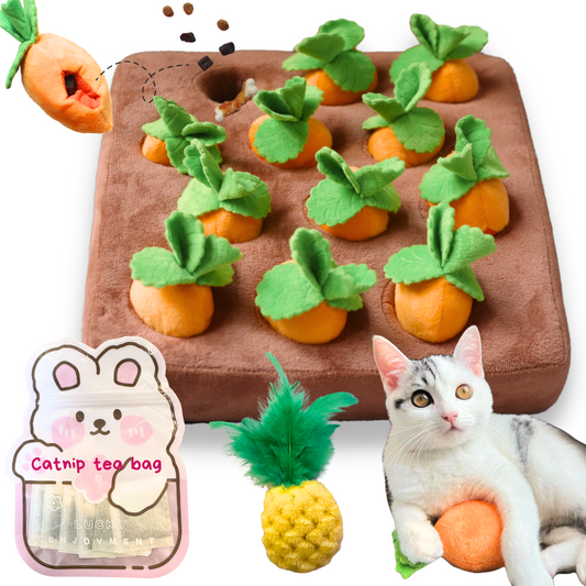 Carrot Garden Toy Set | 12 Refillable Catnip Carrots with Feather Pineapple & Catnip Tea Bags