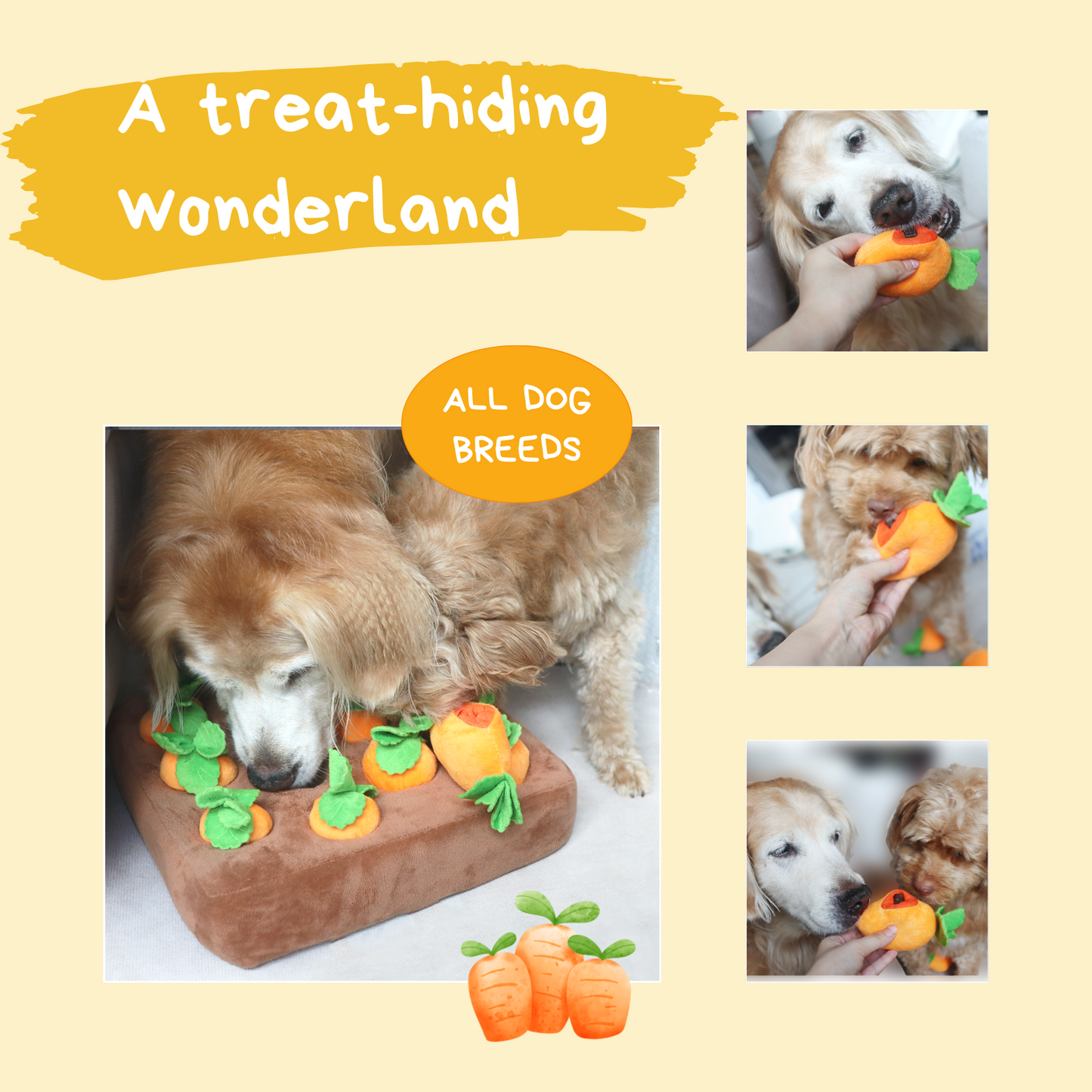 Dog toys you top can hide treats in
