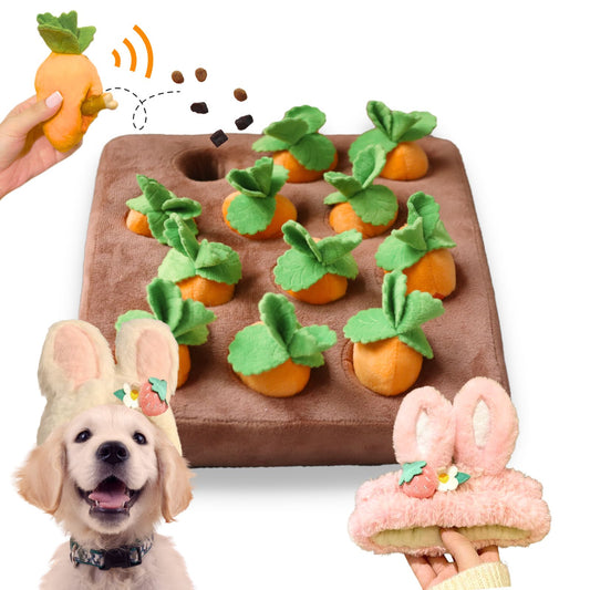 Carrot Farm Dog Toy - 12 Squeaky Carrots