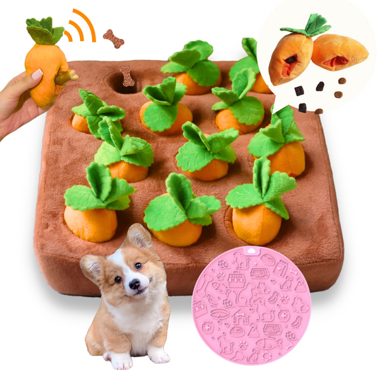 Carrot Puzzle Toy for Dogs | 12 Squeakable Treat-Hiding Carrots & Sponge Mat for Interactive Play"